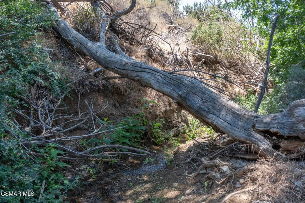 Big Springs Road Road Agua Dulce, CA 91350
