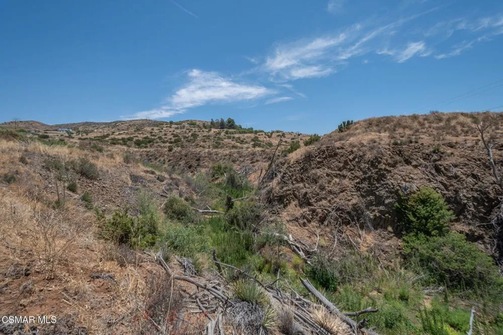 Big Springs Road Road Agua Dulce, CA 91350