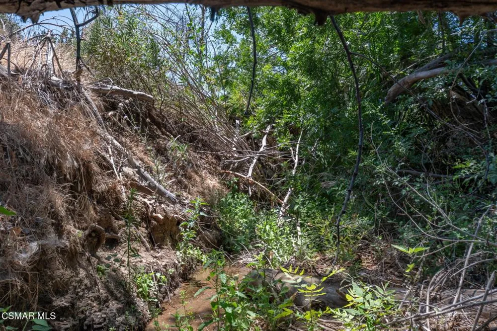 Big Springs Road Road Agua Dulce, CA 91350