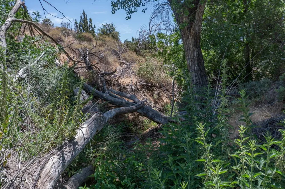 Big Springs Road Road Agua Dulce, CA 91350