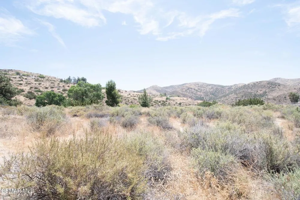 Big Springs Road Road Agua Dulce, CA 91350