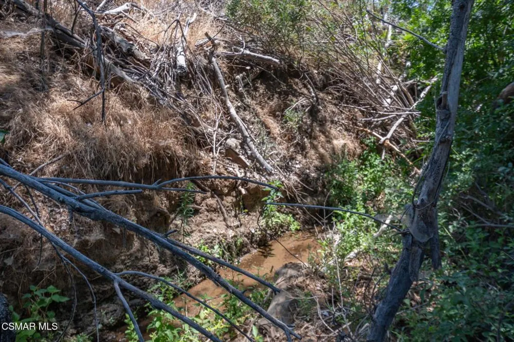 Big Springs Road Road Agua Dulce, CA 91350