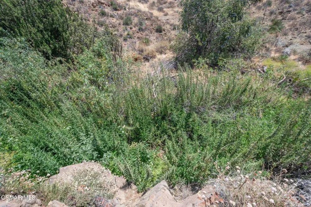 Big Springs Road Road Agua Dulce, CA 91350