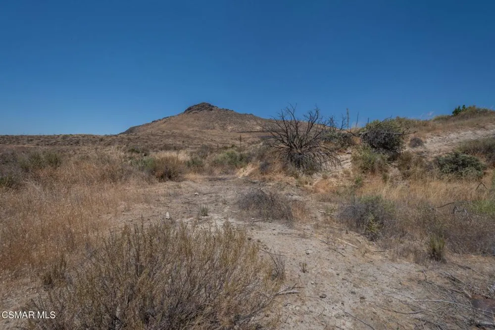 Big Springs Road Road Agua Dulce, CA 91350