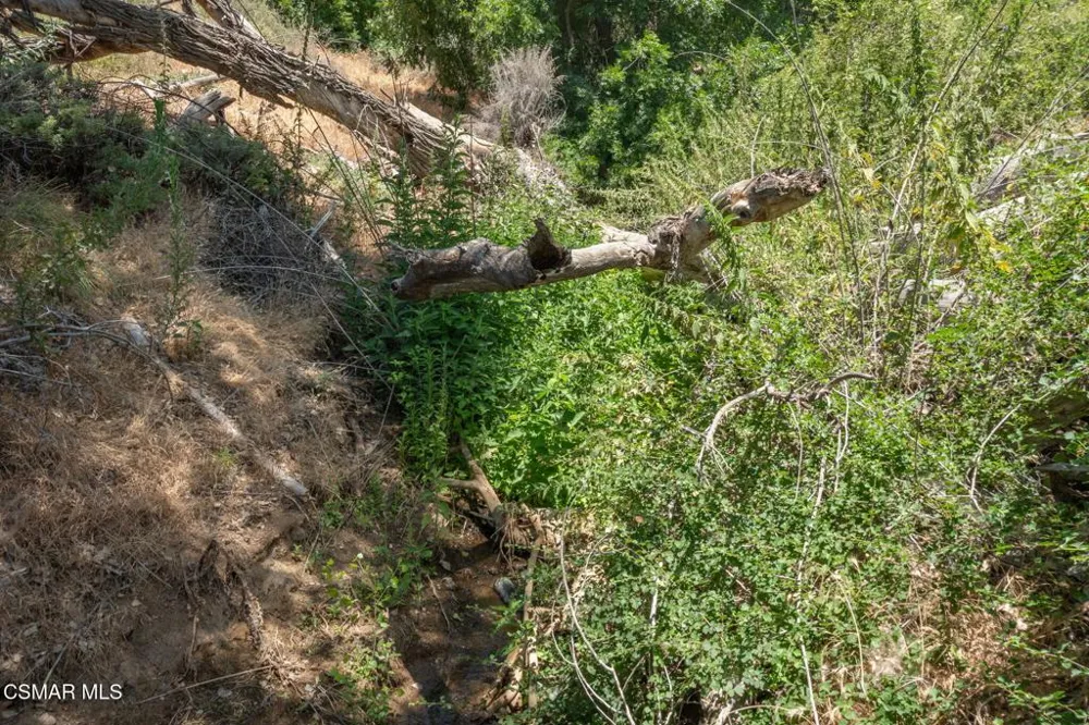 Big Springs Road Road Agua Dulce, CA 91350