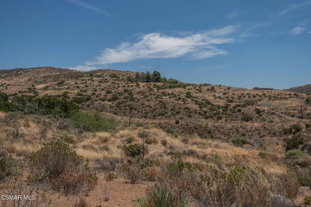 Big Springs Road Road Agua Dulce, CA 91350