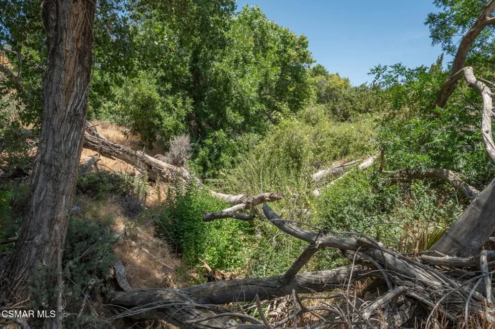 Big Springs Road Road Agua Dulce, CA 91350