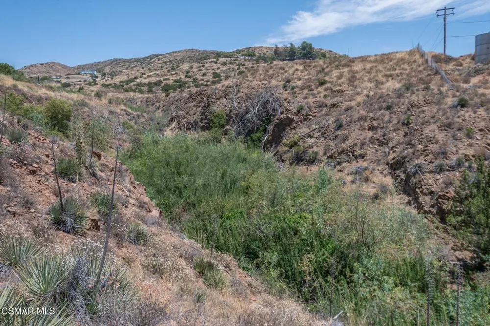 Big Springs Road Road Agua Dulce, CA 91350
