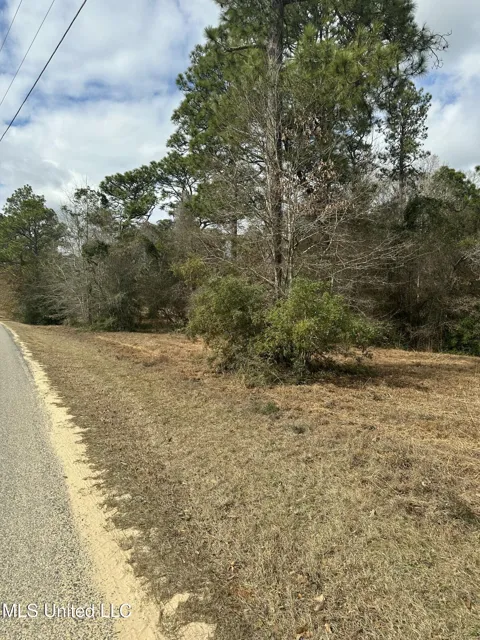 0 Bisbee Drive