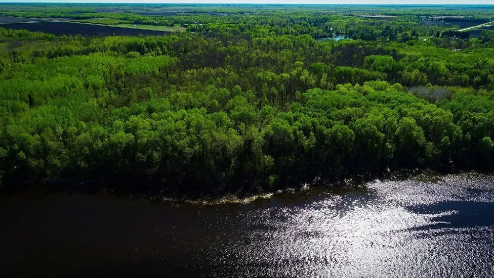 Lot 12 - TBD Driftwood Lane NW Baudette, MN 56623