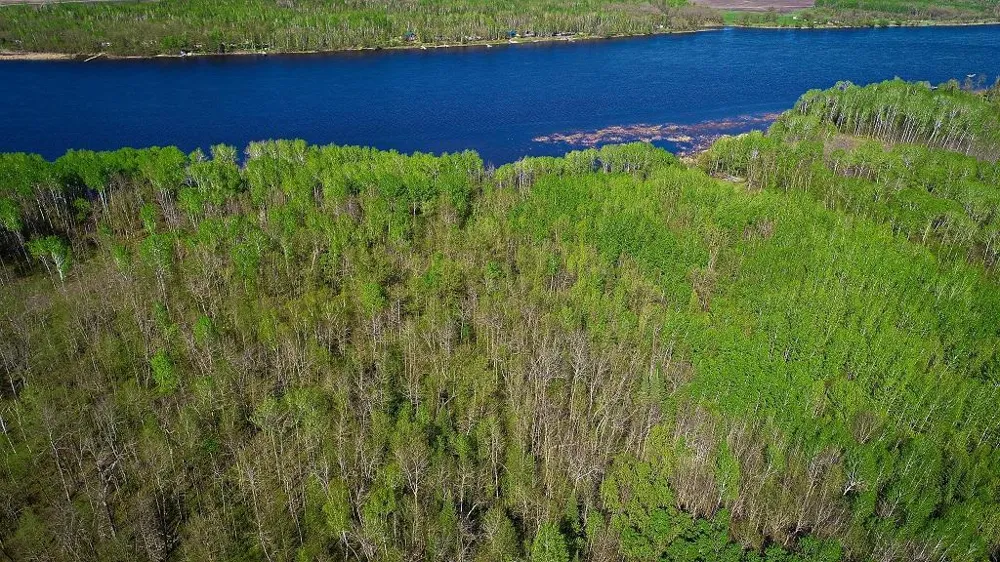Lot 12 - TBD Driftwood Lane NW Baudette, MN 56623
