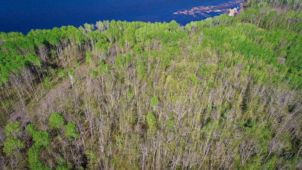 Lot 12 - TBD Driftwood Lane NW Baudette, MN 56623