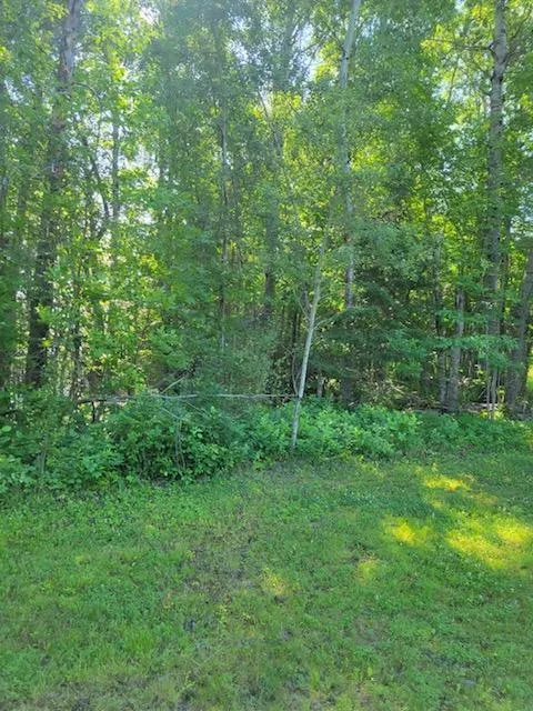 Lot 12 - TBD Driftwood Lane NW Baudette, MN 56623