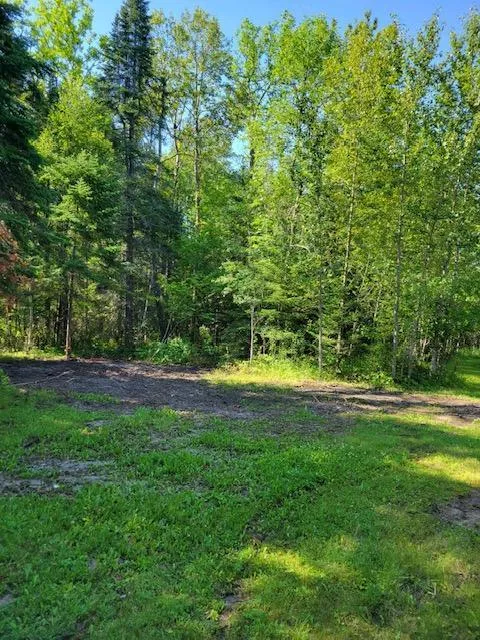 Lot 12 - TBD Driftwood Lane NW Baudette, MN 56623