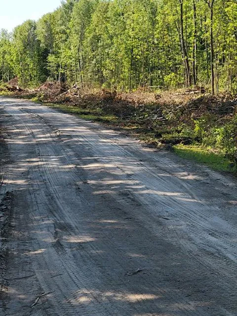Lot 12 - TBD Driftwood Lane NW Baudette, MN 56623