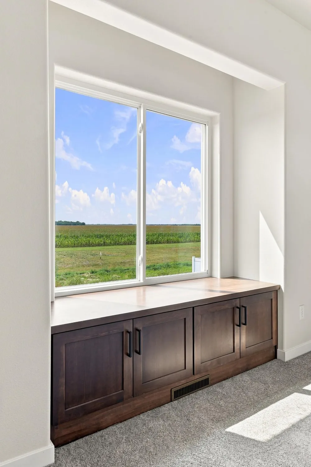 1270 Southview Drive SW Glyndon, MN 56547