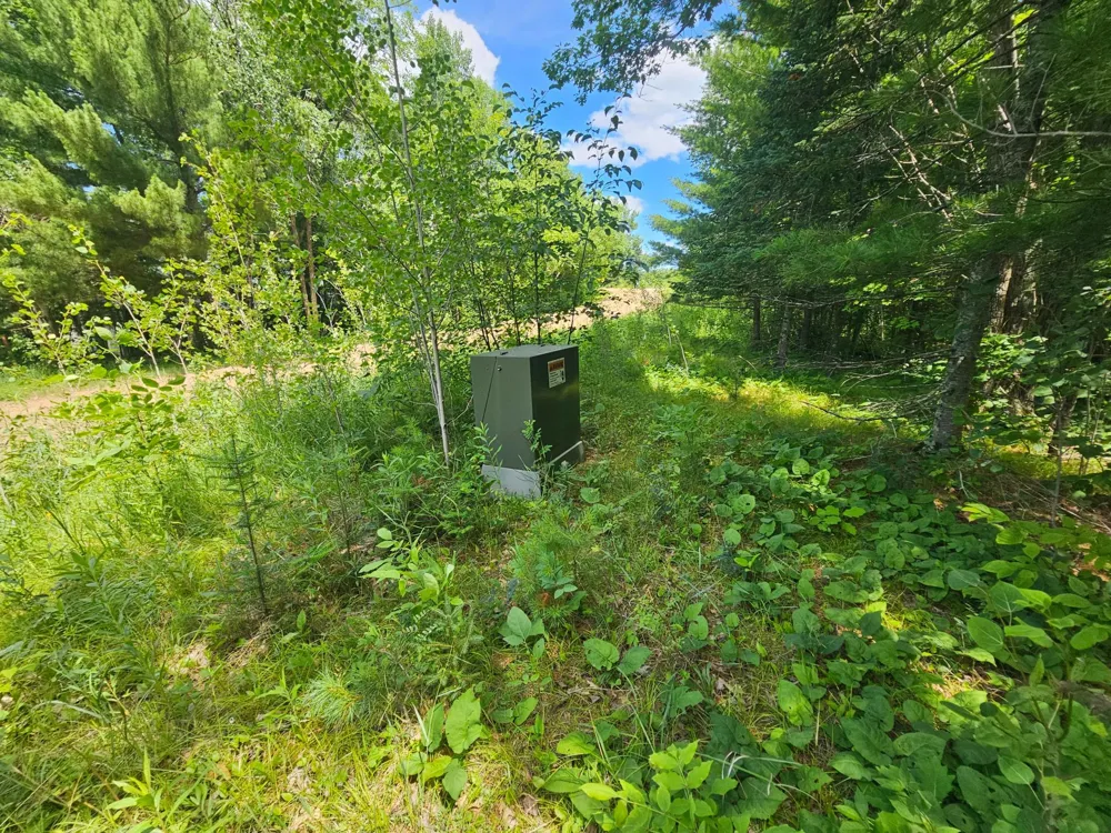 TBD Cedar Shores Drive Deerwood, MN 56444