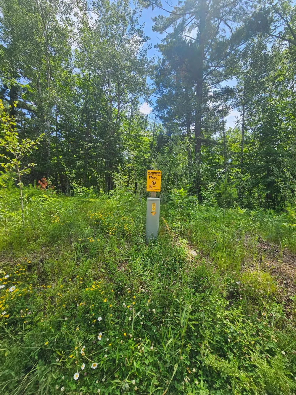 TBD Cedar Shores Drive Deerwood, MN 56444