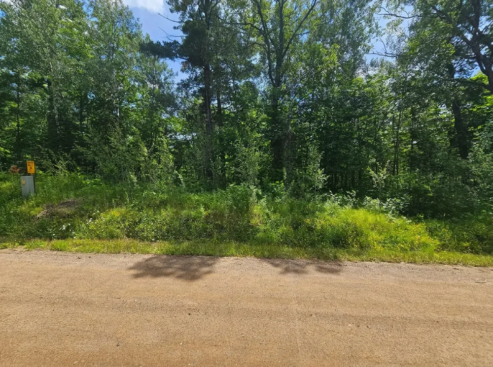 TBD Cedar Shores Drive Deerwood, MN 56444