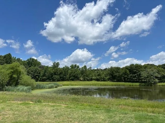 497 Fox Creek Drive Braselton, GA 30517