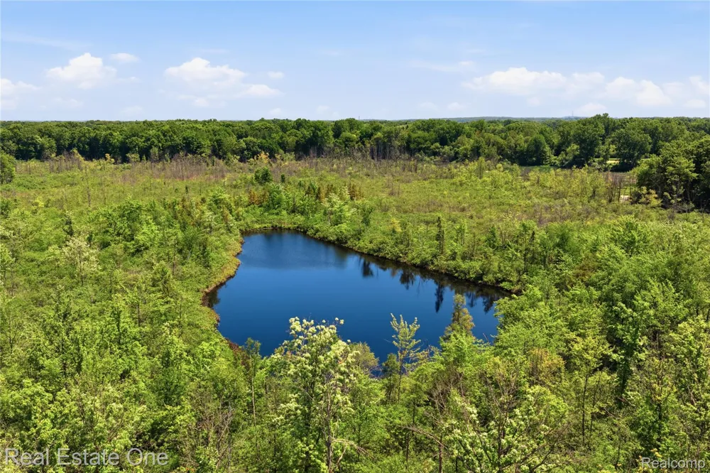 Dorr Road Genoa Township, MI 48114