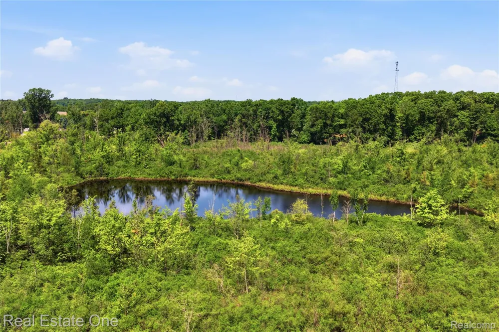 Dorr Road Genoa Township, MI 48114