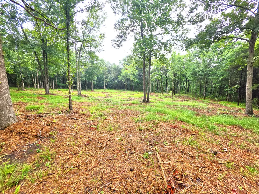 0 Couchville Pike Mount Juliet, TN 37122