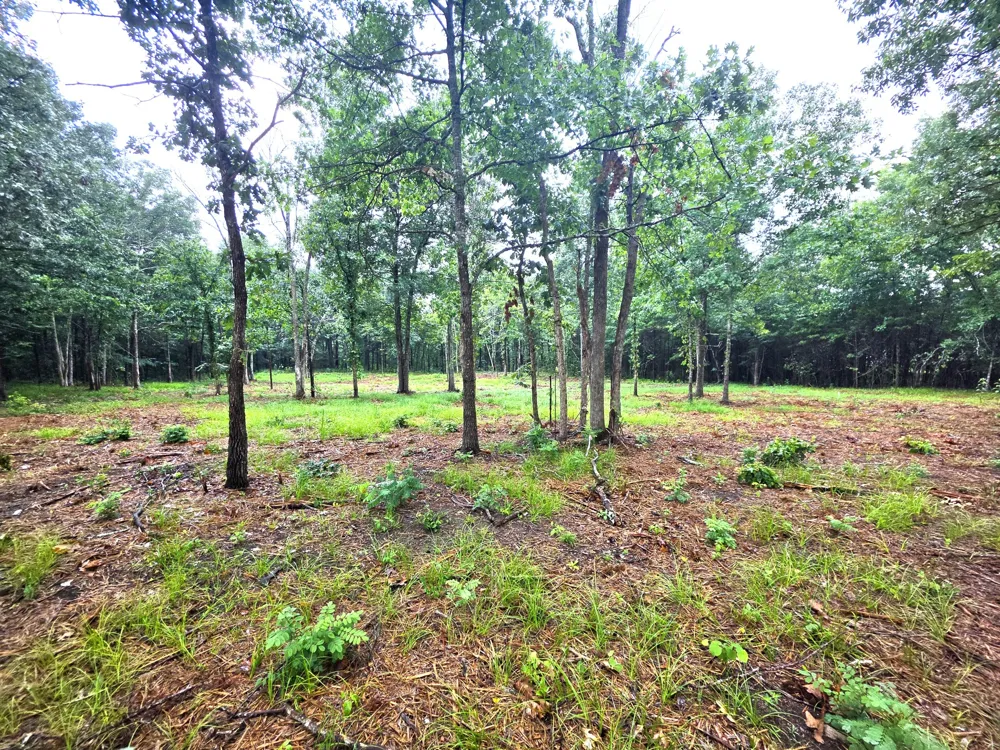 0 Couchville Pike Mount Juliet, TN 37122