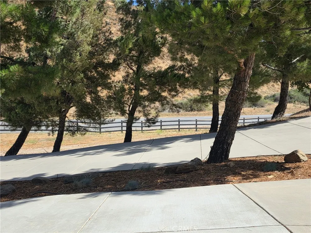 39030 Bouquet Canyon Leona Valley, CA 93551