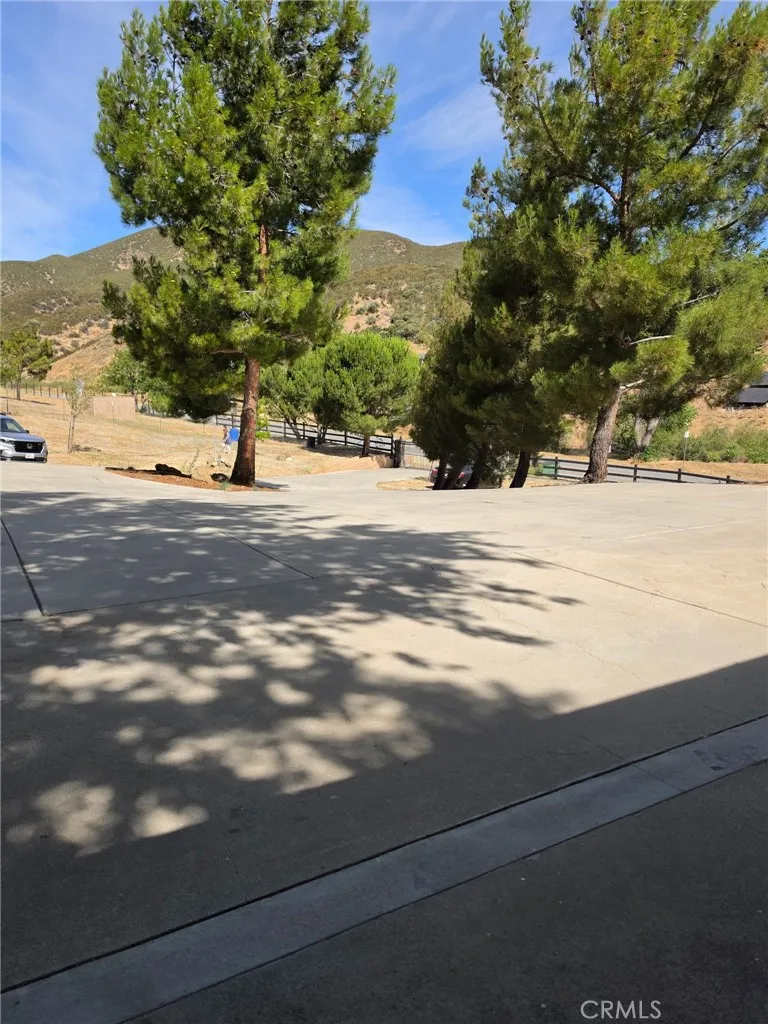 39030 Bouquet Canyon Leona Valley, CA 93551