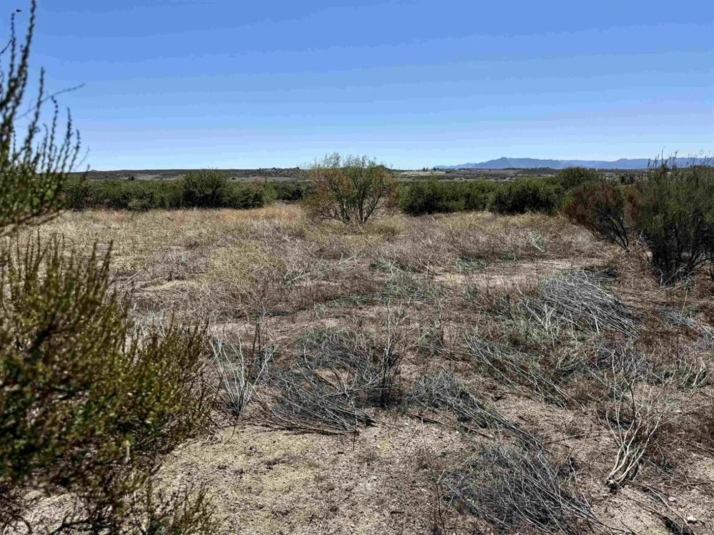 McConamara Drive Ranchita, CA 92066