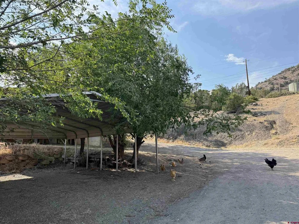 303 Fir Avenue Crawford, CO 81415