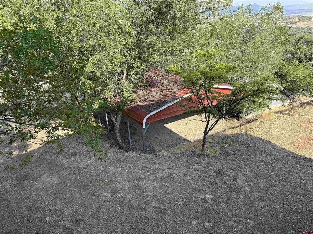 303 Fir Avenue Crawford, CO 81415