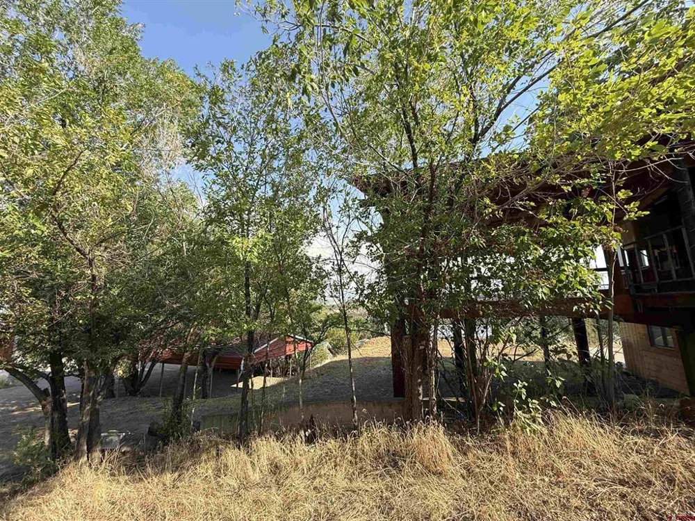 303 Fir Avenue Crawford, CO 81415