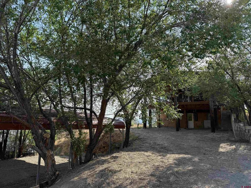 303 Fir Avenue Crawford, CO 81415