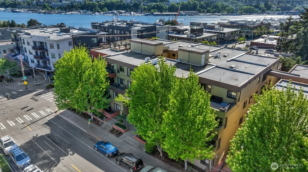 3401 Wallingford Avenue #210 Seattle, WA 98103