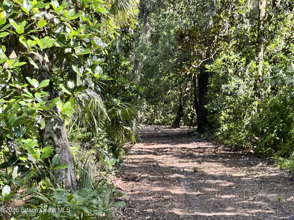 Carter Road Mims, FL 32754