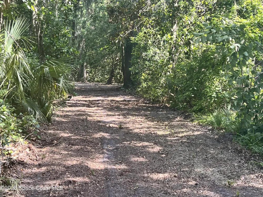 Carter Road Mims, FL 32754