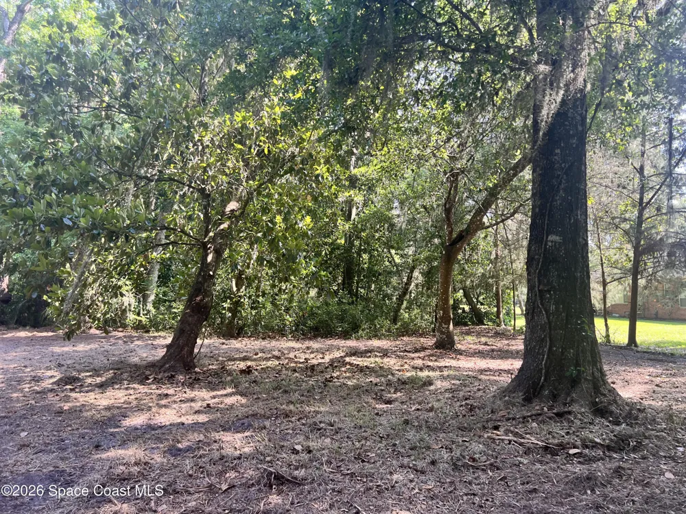 Carter Road Mims, FL 32754