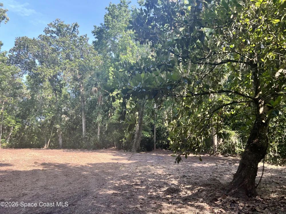 Carter Road Mims, FL 32754