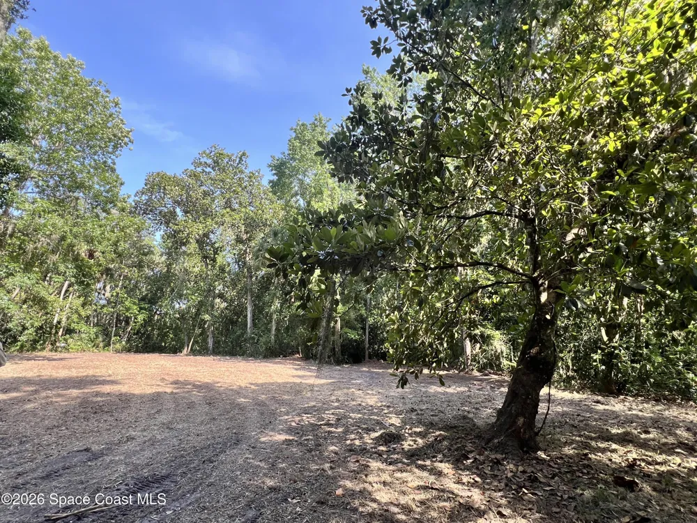 Carter Road Mims, FL 32754