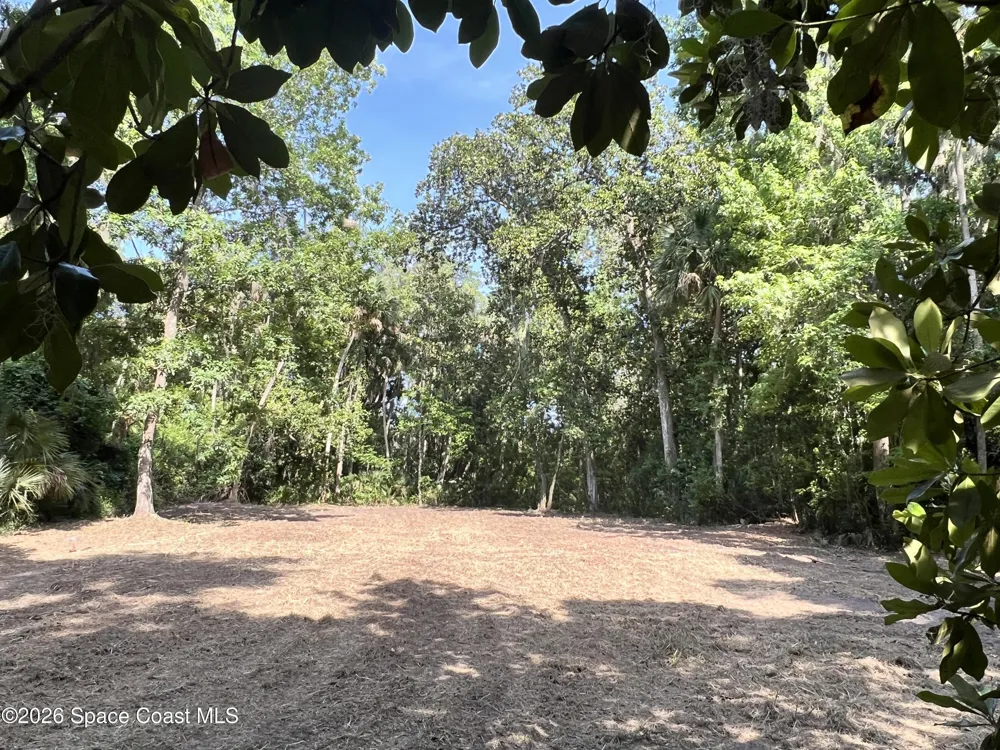 Carter Road Mims, FL 32754