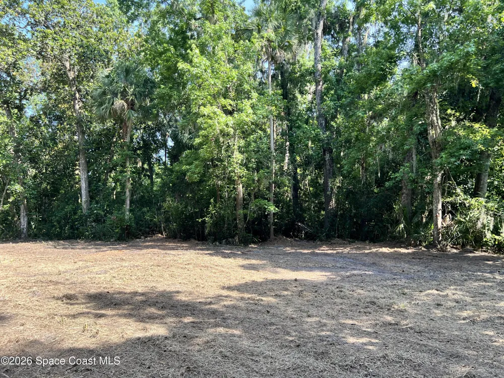 Carter Road Mims, FL 32754