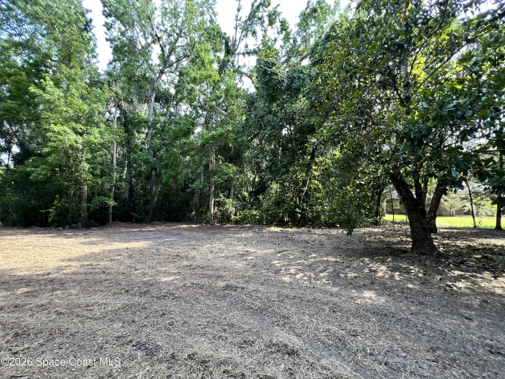 Carter Road Mims, FL 32754