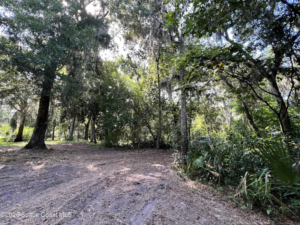 Carter Road Mims, FL 32754