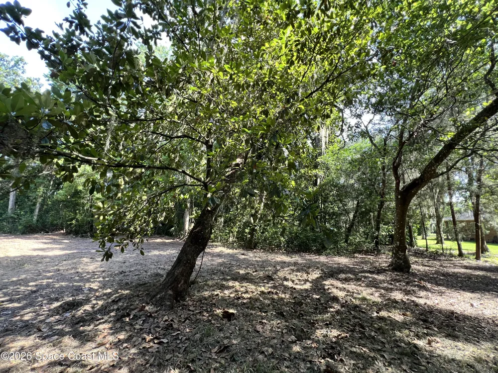 Carter Road Mims, FL 32754
