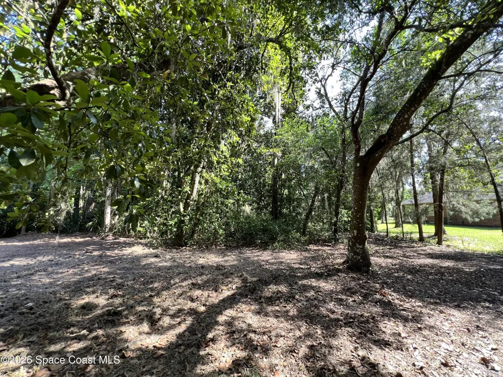 Carter Road Mims, FL 32754