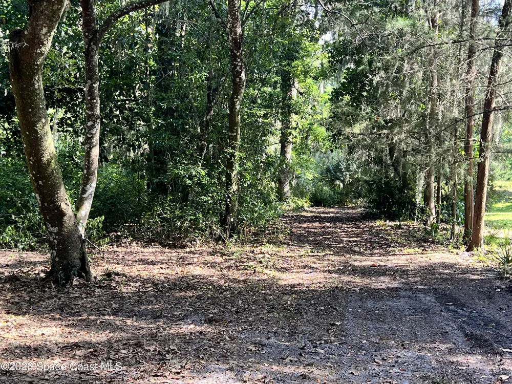 Carter Road Mims, FL 32754