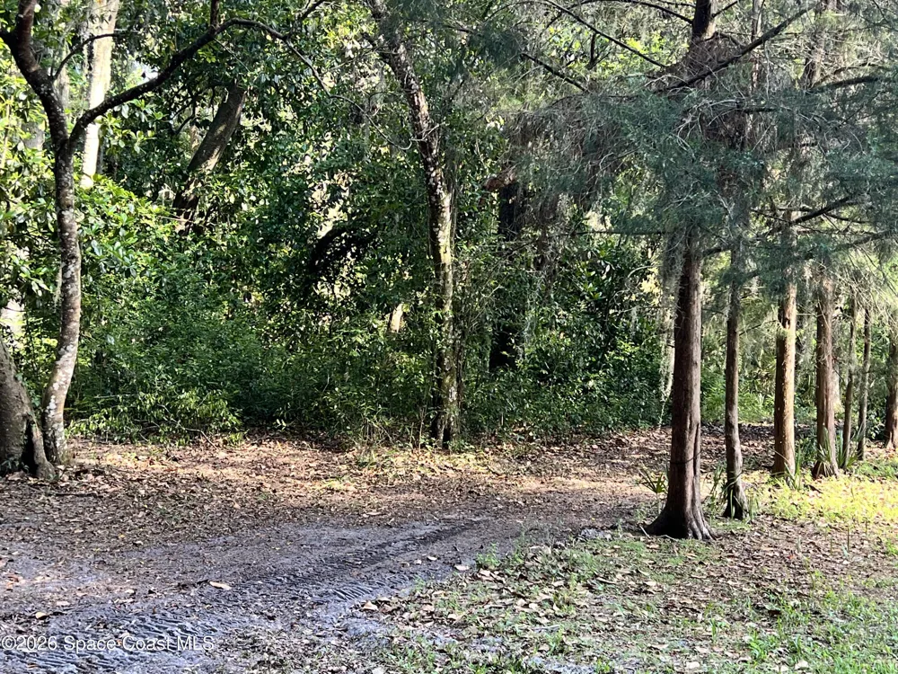 Carter Road Mims, FL 32754