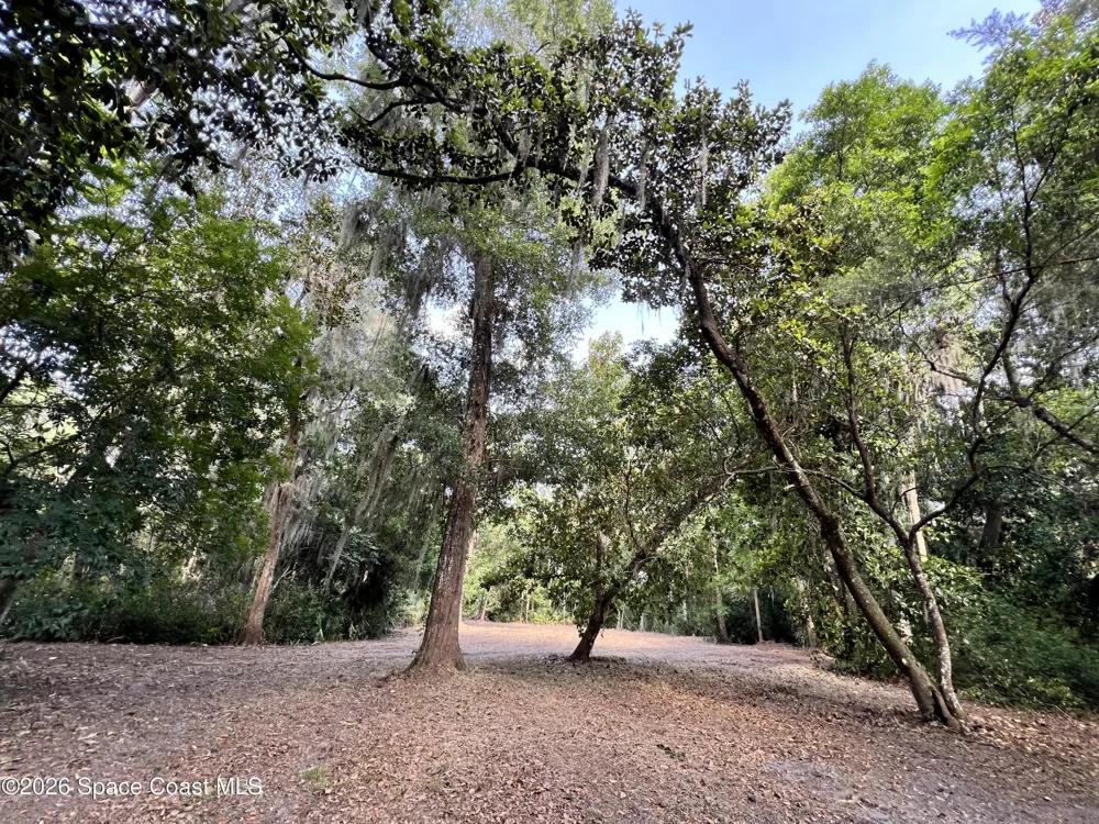 Carter Road Mims, FL 32754